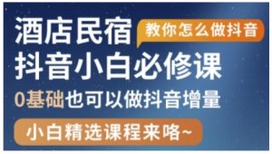 抖音本地生活酒店民宿运营，0基础也可以做抖音增量-沐风资源库