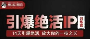 引爆绝活IP训练营,14天引爆绝活,放大你的一技之长-沐风资源库