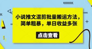 小说推文混剪批量搬运方法，简单粗暴，单日收益多张-沐风资源库