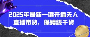 2025年最新一键开播无人直播带货，保姆级干货-沐风资源库
