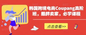 韩国跨境电商Coupang高阶班,酷胖卖家,必学课程-沐风资源库