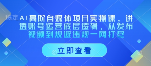 AI高阶自媒体项目实操课，讲透账号运营底层逻辑，从发布视频到规避违规一网打尽-沐风资源库