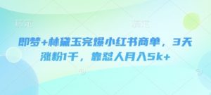 即梦+林黛玉完爆小红书商单，3天涨粉1千，靠怼人月入5k+-沐风资源库
