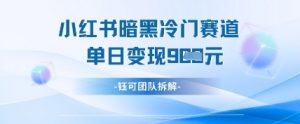 小红书冷门”暗黑”赛道，单日收益多张-沐风资源库