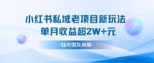 小红书私域项目新玩法,单月变现过W+-沐风资源库