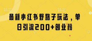 最新小红书野路子玩法，单日引流200+创业粉-沐风资源库