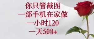 你只管截图，一部手机在家做，苹果安卓都可以，一小时120，一天5张+【揭秘】-沐风资源库