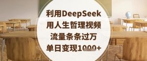 利用DeepSeek用人生哲理视频，流量条条过万，单日变现数张-沐风资源库