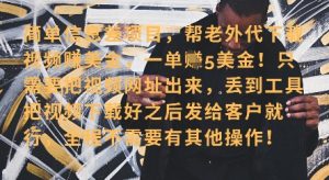 零门槛挣美金，海外视频代下服务，单笔收益40+，小白也能轻松上手-沐风资源库