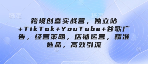 跨境创富实战营，独立站+TikTok+YouTube+谷歌广告，经营策略，店铺运营，精准选品，高效引流-沐风资源库