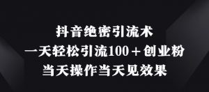 抖音绝密引流术，一天轻松引流100+创业粉，当天操作当天见效果-沐风资源库