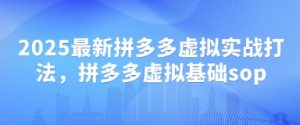 2025最新拼多多虚拟实战打法，拼多多虚拟基础sop-沐风资源库