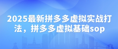 2025最新拼多多虚拟实战打法，拼多多虚拟基础sop-沐风资源库
