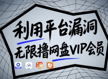 利用平台漏洞，无限撸网盘VIP会员，用户亲测有效!【漏洞原理+操作演示】-沐风资源库