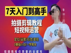 7天入门到高手，短视频剪辑运营高手课，定位 运营 引|流 变现，0基础小白一学就会-沐风资源库