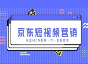京东短视频营销项目，专业MCN机构一对一实操教学-沐风资源库