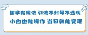 国学新玩法，引流不封号不违规小白也能操作，当日就能变现-沐风资源库