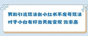 男粉引流玩法(新)，玩法友好做的好当天就能变现-沐风资源库