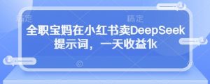 全职宝妈在小红书卖DeepSeek提示词，一天收益1k-沐风资源库