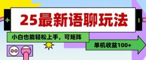 25年最新语聊玩法，纯手工，单机收益100+，小白也能轻松上手，可矩阵操作-沐风资源库