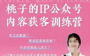 桃子IP公众号内容获客训练营(第3期)，一门让你公众号从0到商业闭环的课程-沐风资源库