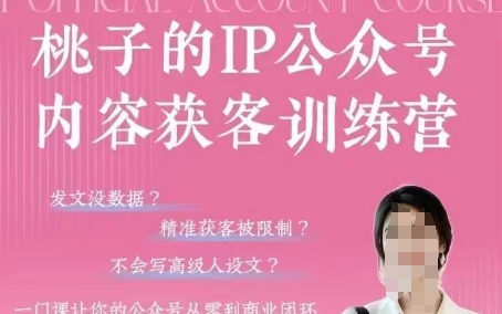 桃子IP公众号内容获客训练营(第3期)，一门让你公众号从0到商业闭环的课程-沐风资源库