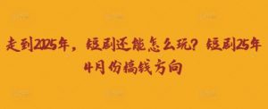 走到2025年，短剧还能怎么玩？短剧25年4月份搞钱方向-沐风资源库