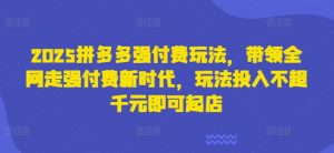 2025拼多多强付费玩法,带领全网走强付费新时代,玩法投入不超千元即可起店-沐风资源库
