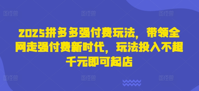 2025拼多多强付费玩法,带领全网走强付费新时代,玩法投入不超千元即可起店-沐风资源库