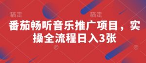番茄畅听音乐推广项目，实操全流程日入3张-沐风资源库