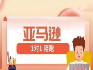 亚马逊1对1陪跑课(FBA/FBM精铺)跨境亚马逊教程-沐风资源库