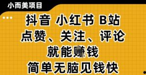小而美的项目，抖音小红书B站视频点赞、关注、评论就能挣钱，简单无脑立见收益，妥妥的零撸项目【揭秘】-沐风资源库