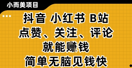 小而美的项目，抖音小红书B站视频点赞、关注、评论就能挣钱，简单无脑立见收益，妥妥的零撸项目【揭秘】-沐风资源库