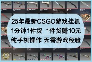 25年最新CSGO游戏挂G，1分钟1件货，1件货挣10元，纯手机操作，无需游戏经验【揭秘】-沐风资源库