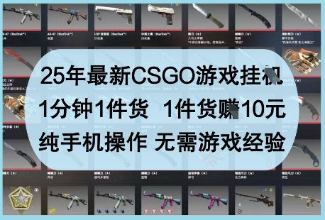 25年最新CSGO游戏挂G，1分钟1件货，1件货挣10元，纯手机操作，无需游戏经验【揭秘】-沐风资源库
