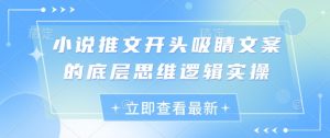 小说推文开头吸睛文案的底层思维逻辑实操-沐风资源库