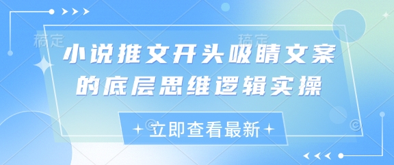 小说推文开头吸睛文案的底层思维逻辑实操-沐风资源库