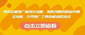 淘系运营推广标准化流程，​淘系改版后新品布局全流程，无界推广工具拆解高阶玩法-沐风资源库