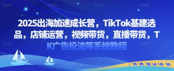 2025出海加速成长营，TikTok基建选品，店铺运营，视频带货，直播带货，TK广告投流等系统教程-沐风资源库