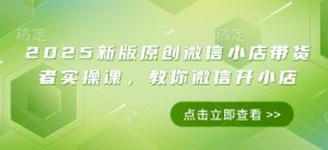 2025新版原创微信小店带货者实操课，教你微信开小店-沐风资源库