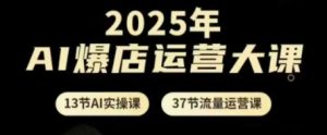 2025年AI爆店运营大课，13节AI实操课+37节流量运营课-沐风资源库