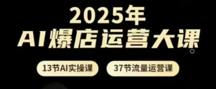 2025年AI爆店运营大课，13节AI实操课+37节流量运营课-沐风资源库