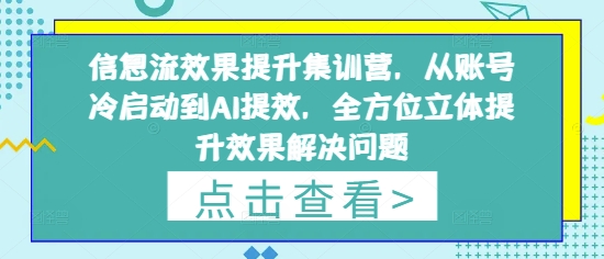 信息流效果提升集训营，从账号冷启动到AI提效，全方位立体提升效果解决问题-沐风资源库