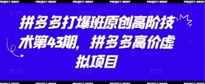 拼多多打爆班原创高阶技术第43期，拼多多高价虚拟项目-沐风资源库