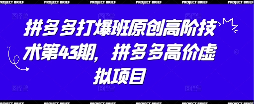 拼多多打爆班原创高阶技术第43期，拼多多高价虚拟项目-沐风资源库