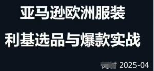 跨境电商选品案例24-25年，聚焦跨境电商选品策略与运营优化，助力卖家挖掘蓝海市场-沐风资源库