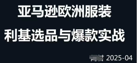 跨境电商选品案例24-25年，聚焦跨境电商选品策略与运营优化，助力卖家挖掘蓝海市场-沐风资源库