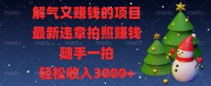 解气又挣钱的项目，最新违章拍照挣钱，随手一拍，轻松收入数张【揭秘】-沐风资源库