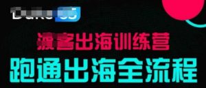 出海训练营基础课，​跑通出海全流程，实战案例拆解-沐风资源库