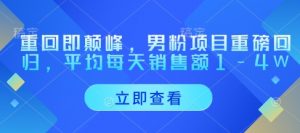重回即颠峰，男粉项目重磅回归，平均每天销售额1-4W-沐风资源库